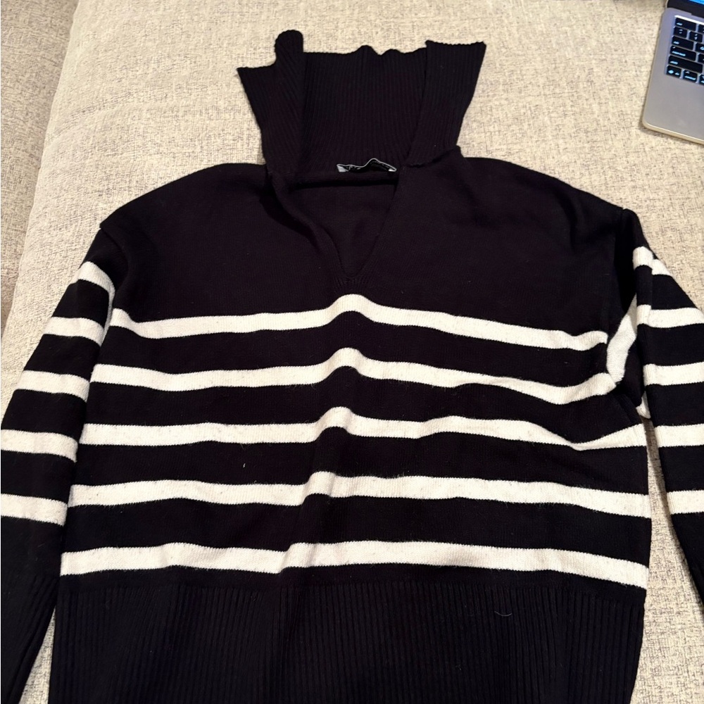 Zara women’s Black and White Turtleneck Sweater